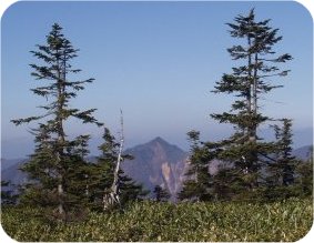 苗場山頂三景