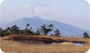 苗場山頂三景